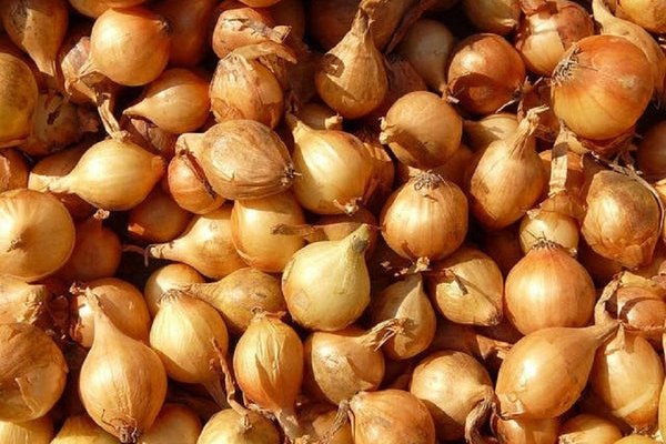 Оригинальная ссылка кракен браузера